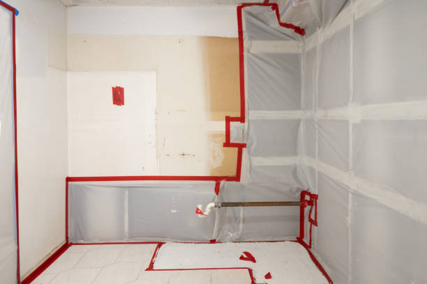 Trusted Perth Amboy, NJ Mold Inspection, Removal & Remediation Experts